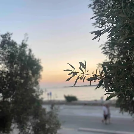31 Seafront *